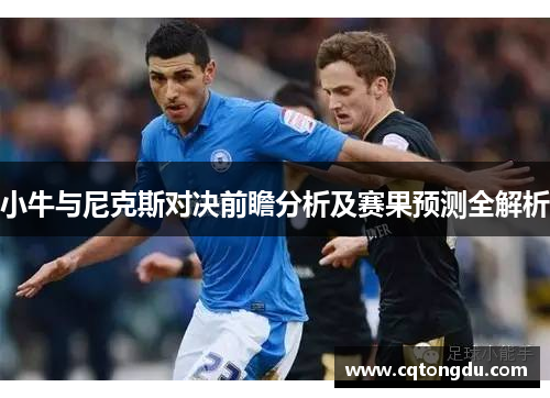 小牛与尼克斯对决前瞻分析及赛果预测全解析