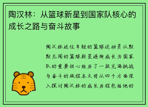 陶汉林：从篮球新星到国家队核心的成长之路与奋斗故事